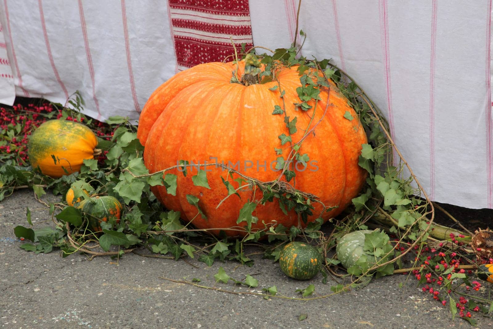 Thanksgiving Pumpkin Scene