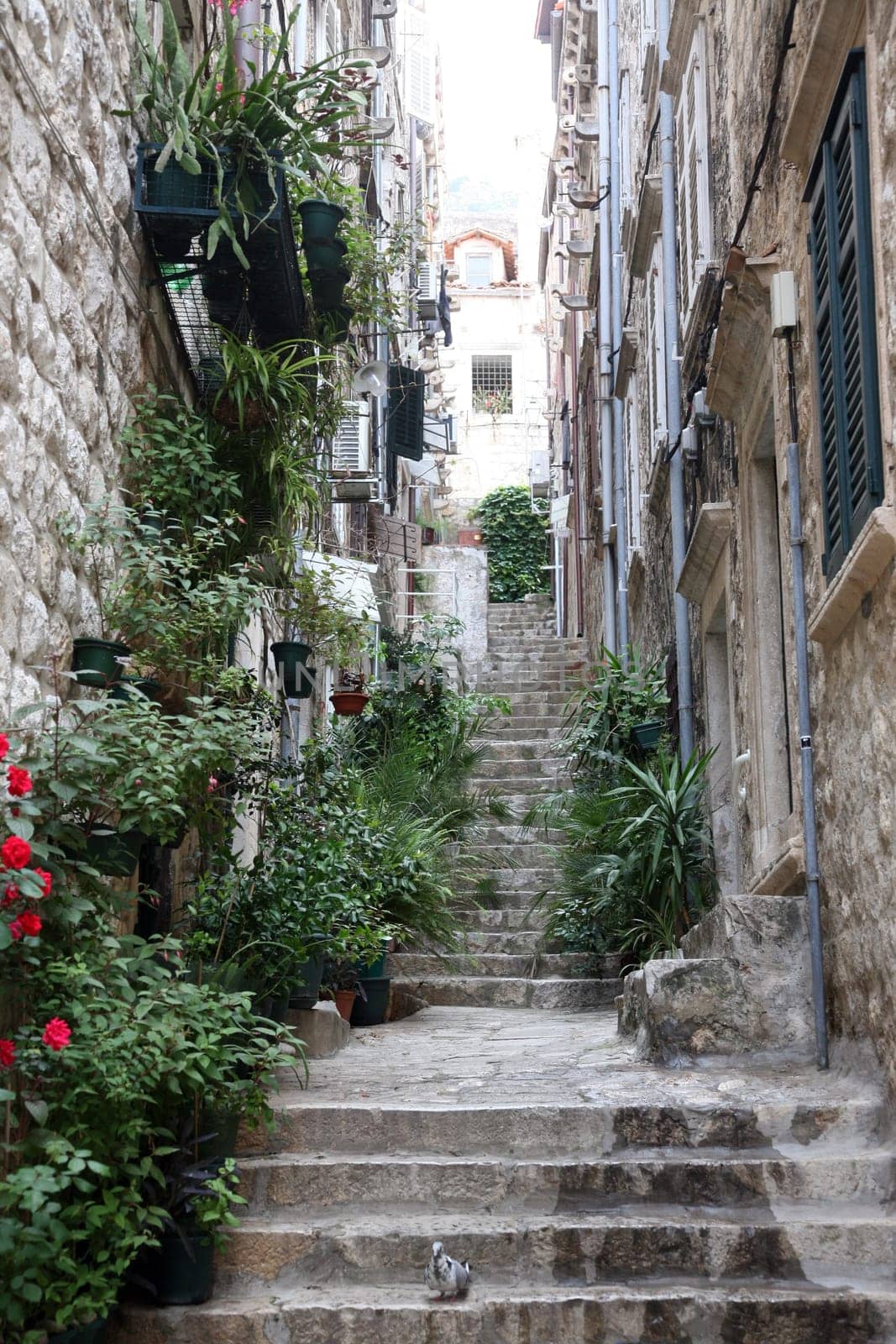 Street in Dubrovnik