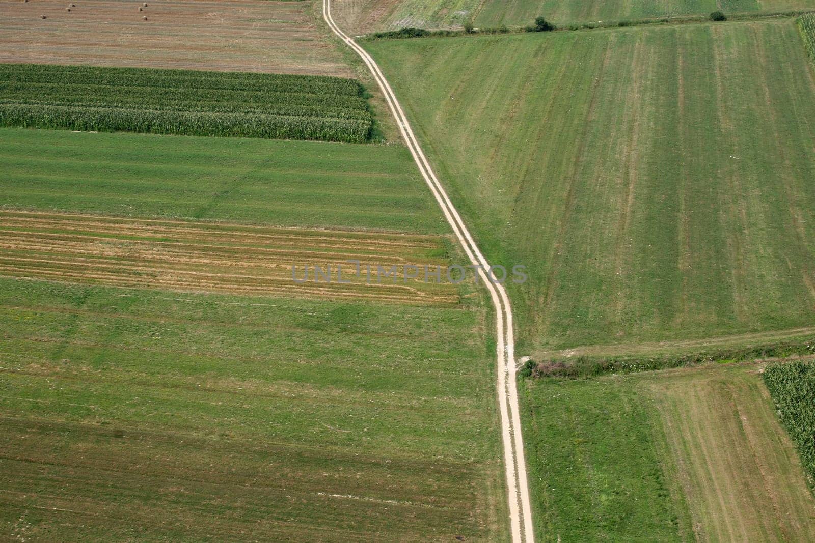 Meadows and fields. Aerial image.