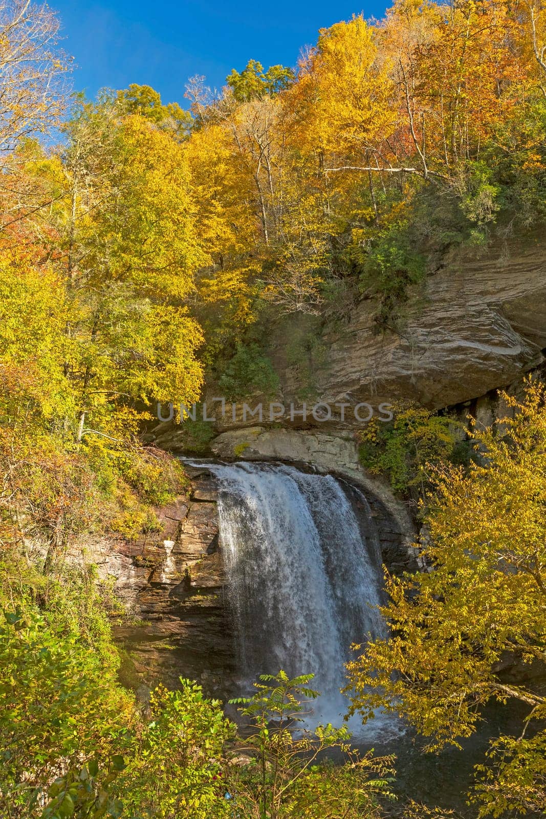 Scenic Looking Glass Falls Amongst the Colors of Fall in Pisgah National Forest in North Carolina