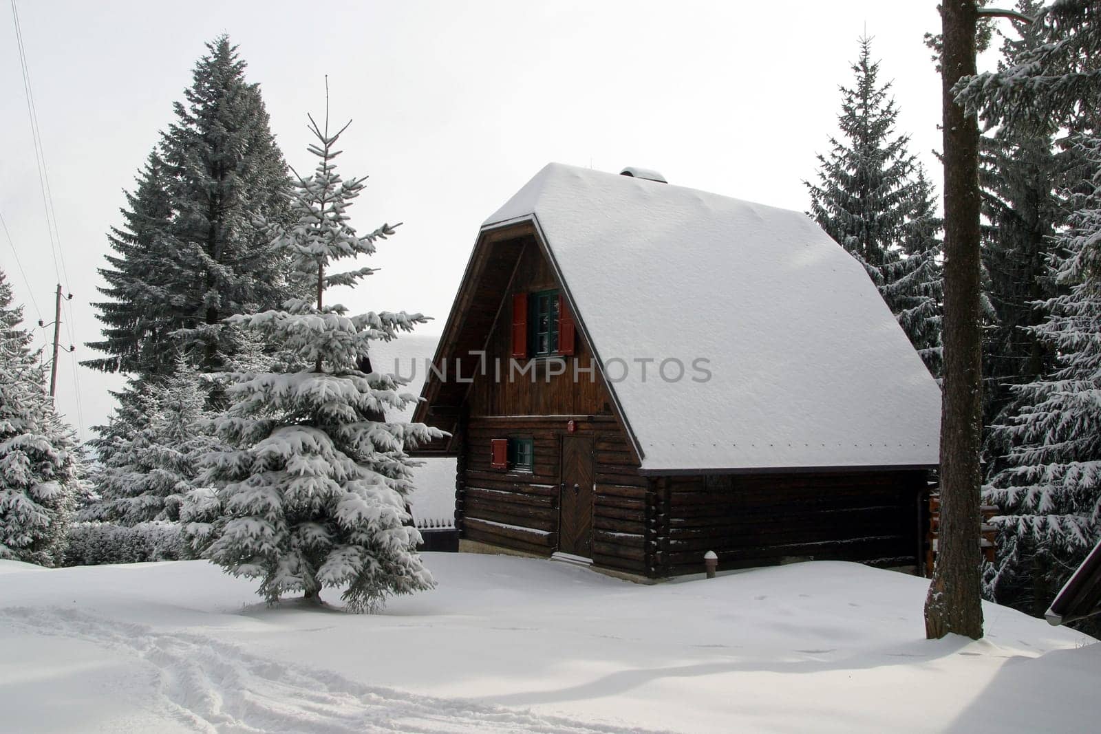 Wooden house