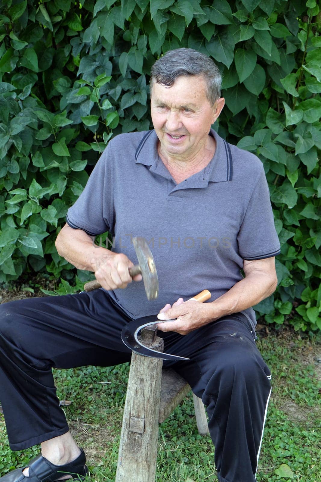 Farmer with hammer and iron tool on the tree stump is sharpening his scythe in Nedelisce, Croatia