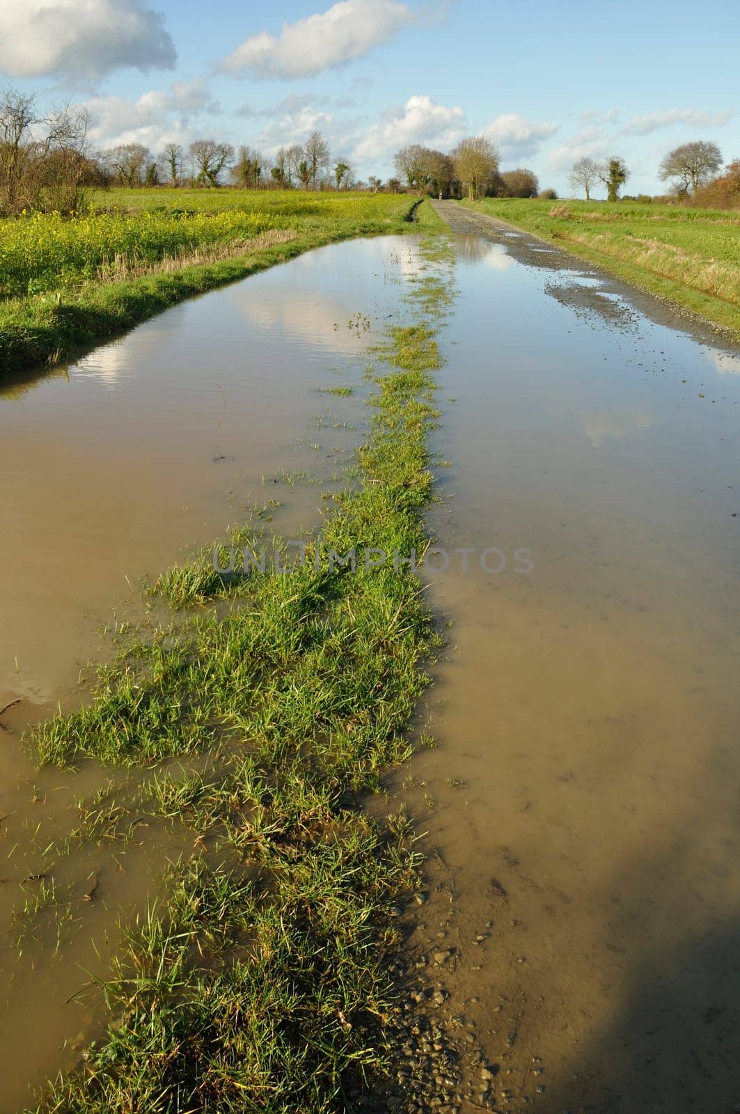 A flooded country lane in Brittany