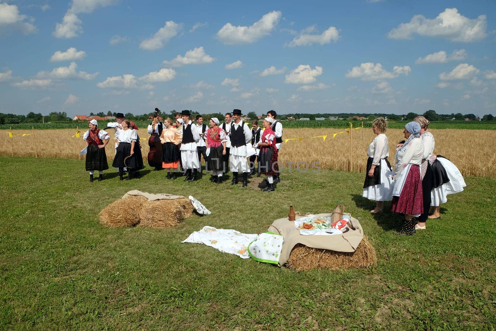 The harvest traditionally begins assembling villagers, singing and dancing and good food in Nedelisce, Croatia