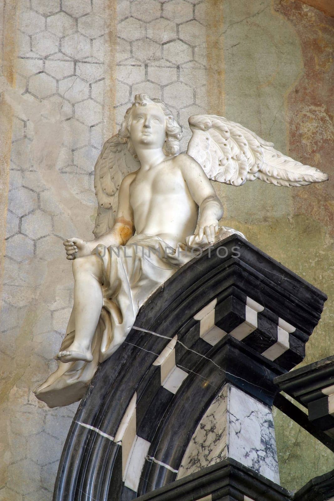 Angel