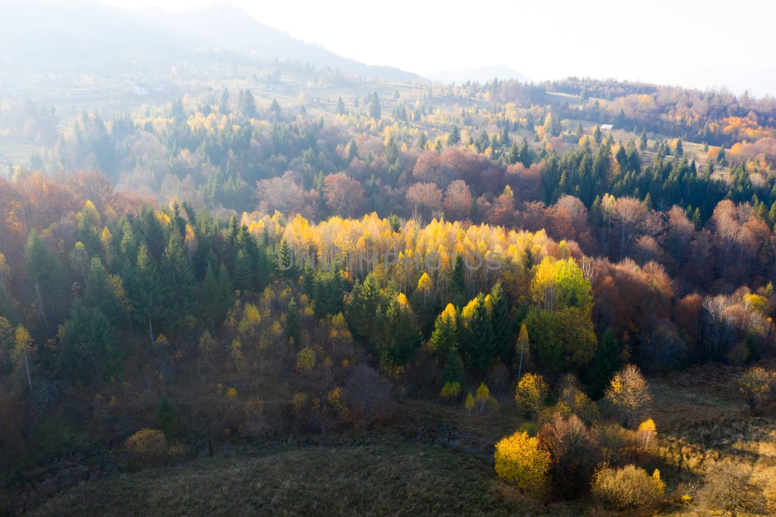 Colorful magic autumn mountain landscape.