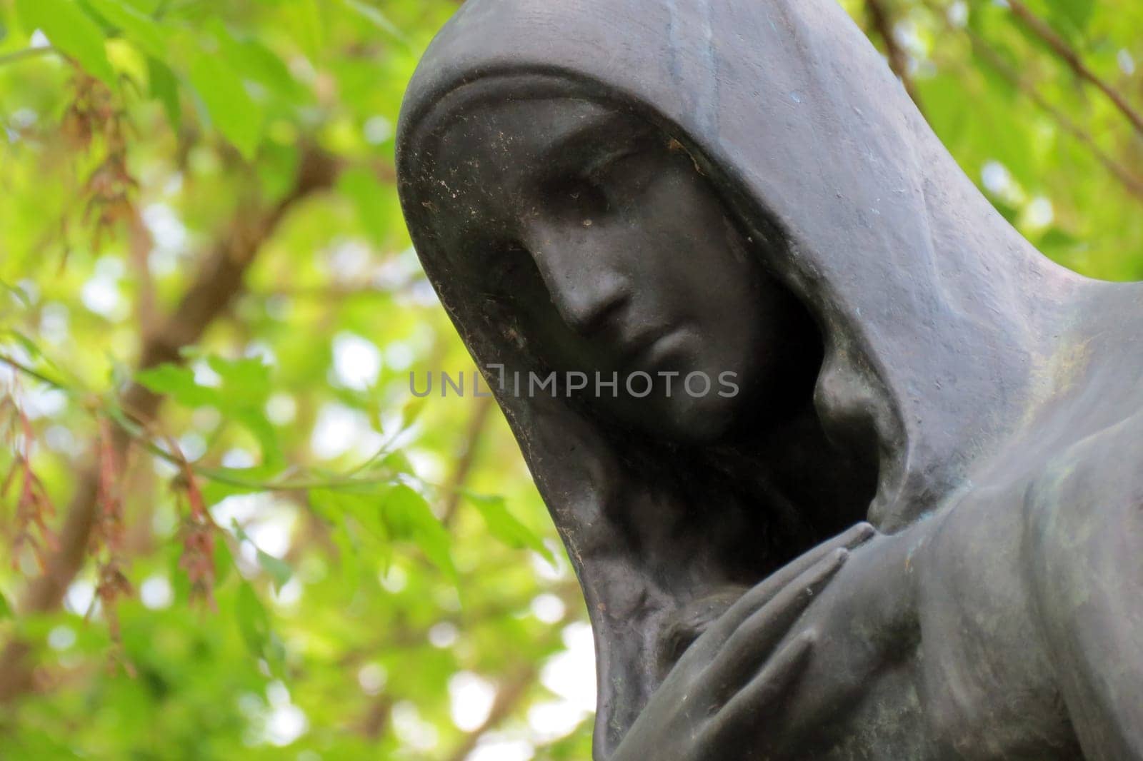 Blessed Virgin Mary