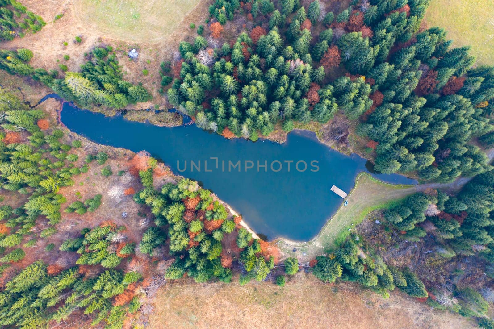 Small lake in autumn pine forest - aerial view.