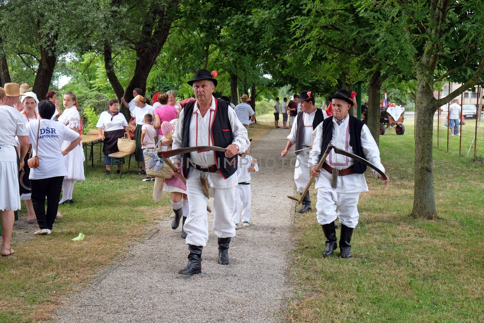 Farmers enter the harvest in Trnovec, Croatia