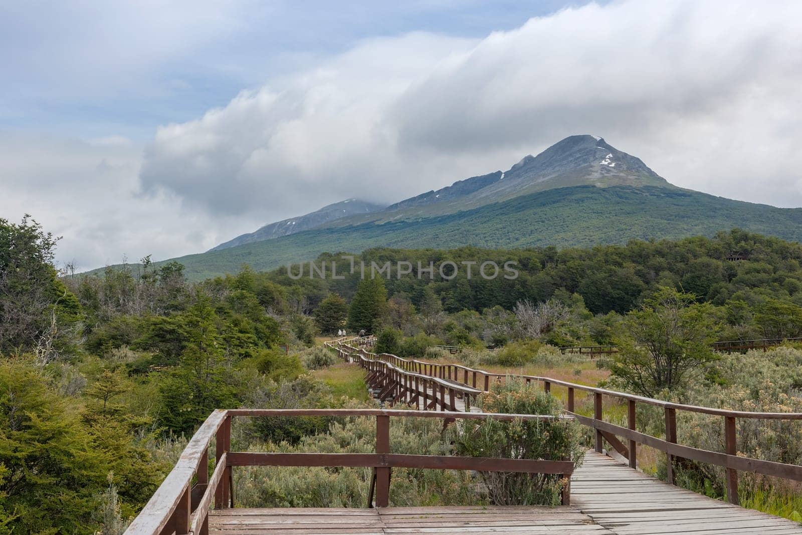 Landscape of the Tierra del Fuego National Park, Argentina