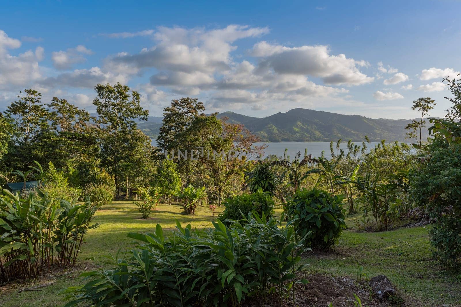 Park on the north shore of Lake Arenal in Costa Rica