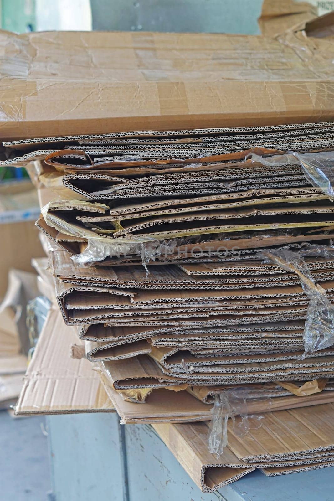 Cardboard carton for recycling in container