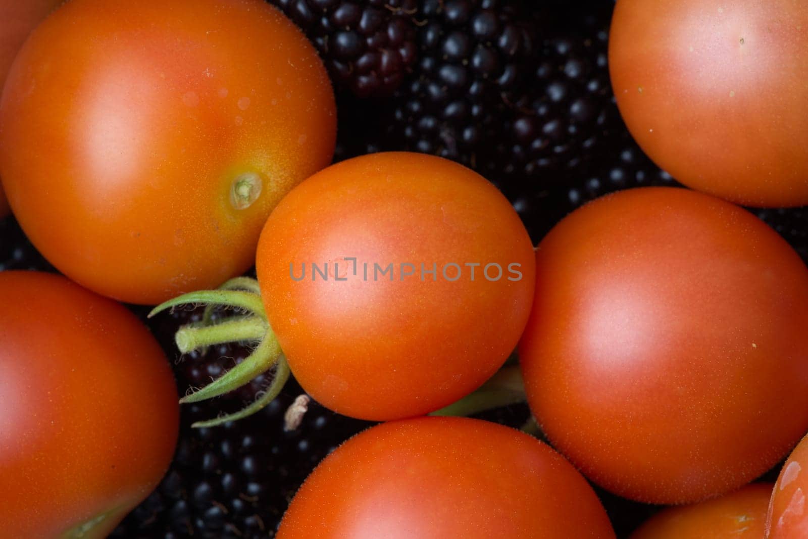 6 - Soft light highlights the round shape of these freshly picked home grown fruits. Tomatoes and blackberries. Vibrant colors, food background.