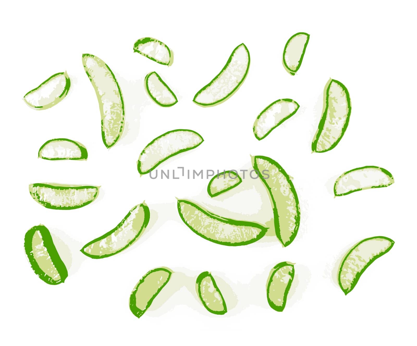 Close-up of aloe vera slice on a white background. Aloe vera is a succulent plant species of the genus Aloe. It is cultivated for agricultural and medicinal uses