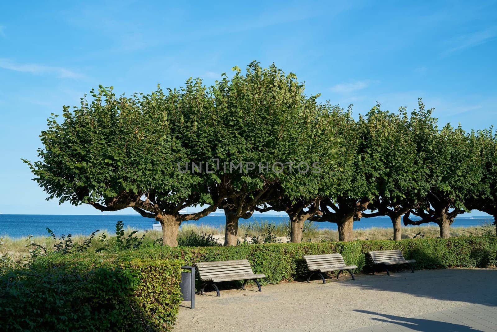 Beach promenade with park benches in the German Baltic seaside resort Bansin on the island of Usedom