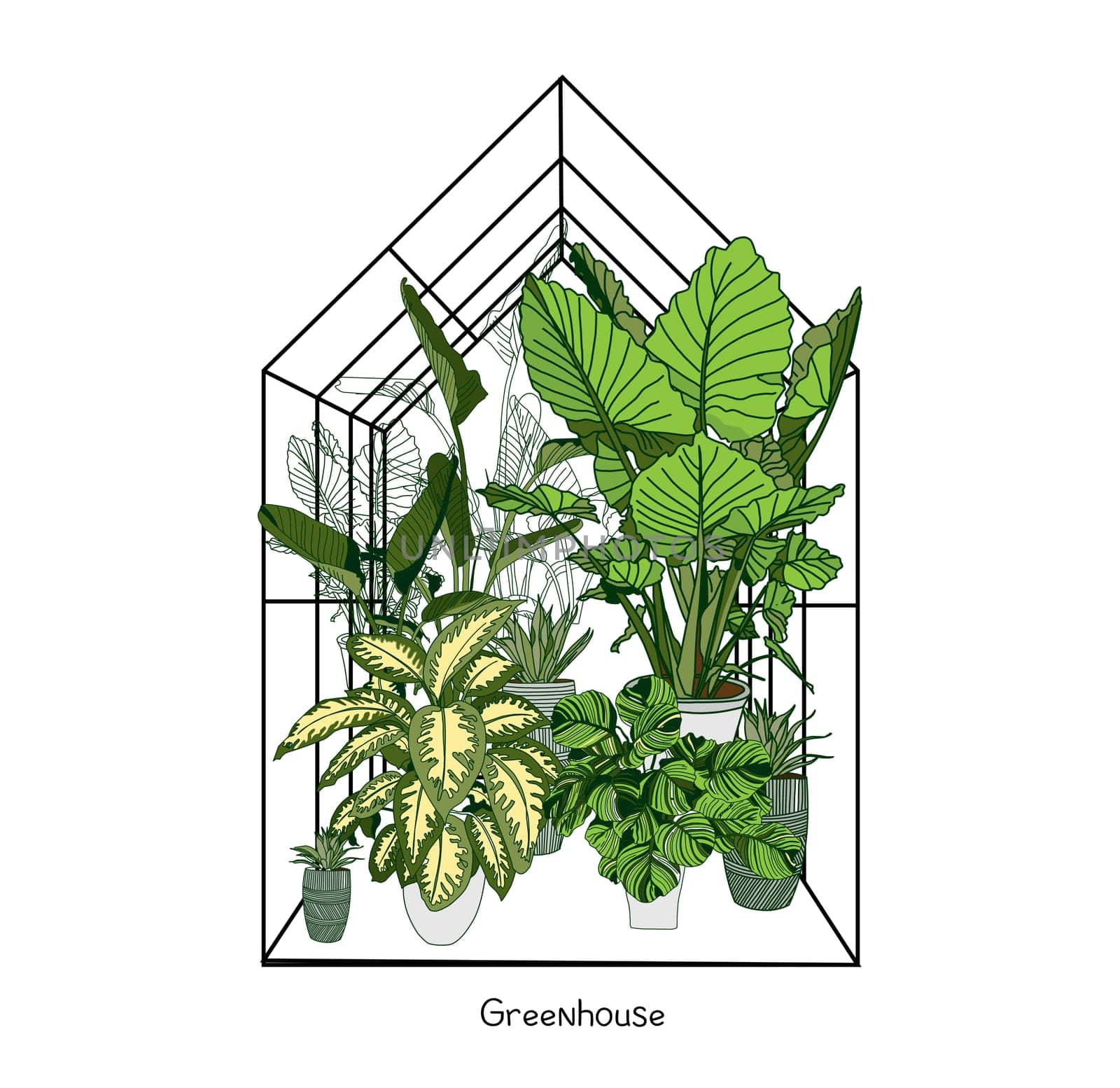 Greenhouse illustration on white background. flower house. Winter Garden. Gardening and truck farming concept. Exotic houseplant.