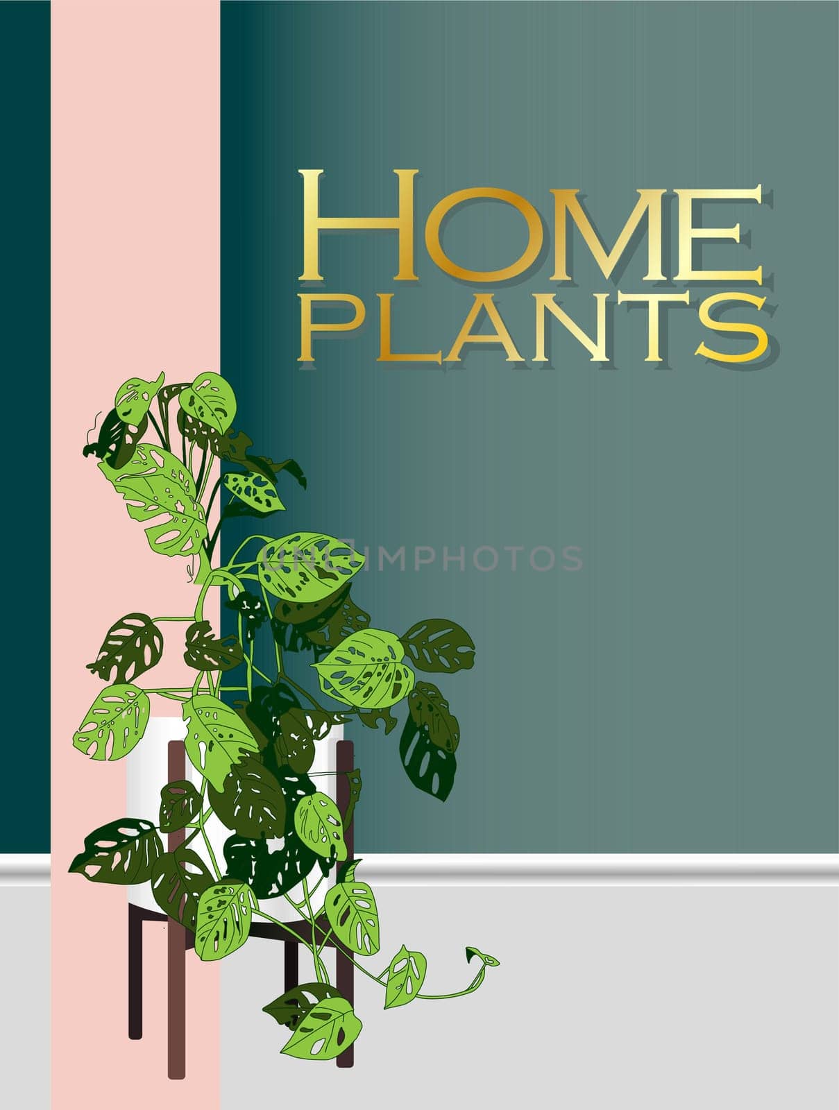 Modern trendy plants in the interior. The concept of gardening and plant cultivation.