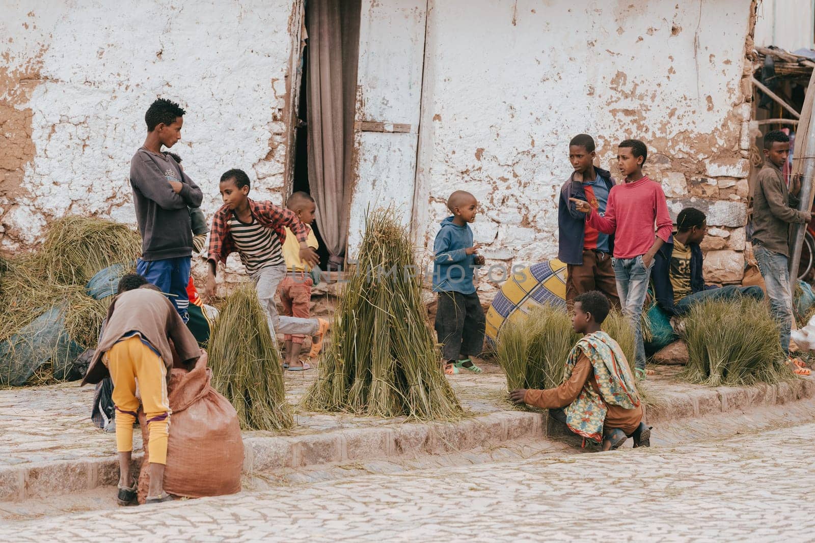 AKSUM, ETHIOPIA, APRIL 27th. 2019, Teenager selling stacks of traditional Ethiopian Grass for sale in a market. The grass is used in the Ethiopian coffee ceremony. April 27th. 2019, Aksum, Ethiopia