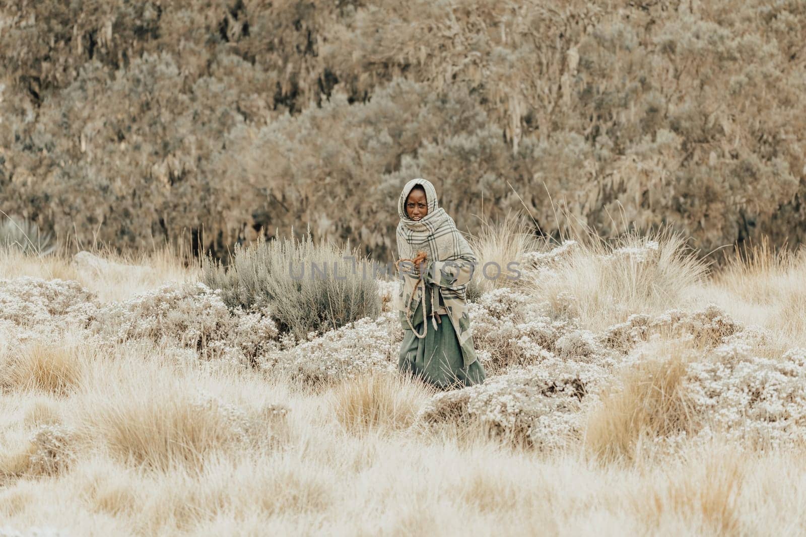 SIMIEN MOUNTAIN, ETHIOPIA, APRIL 25.2019, Little Ethiopian shepherdess girl veiled in a blanket with whip in cold morning. Chenek - Simien Mountains, Ethiopia, April 25. 2019