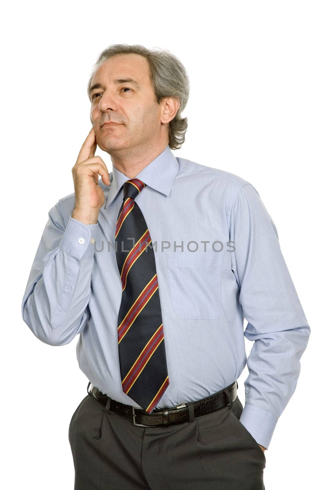 mature business man portrait in white background