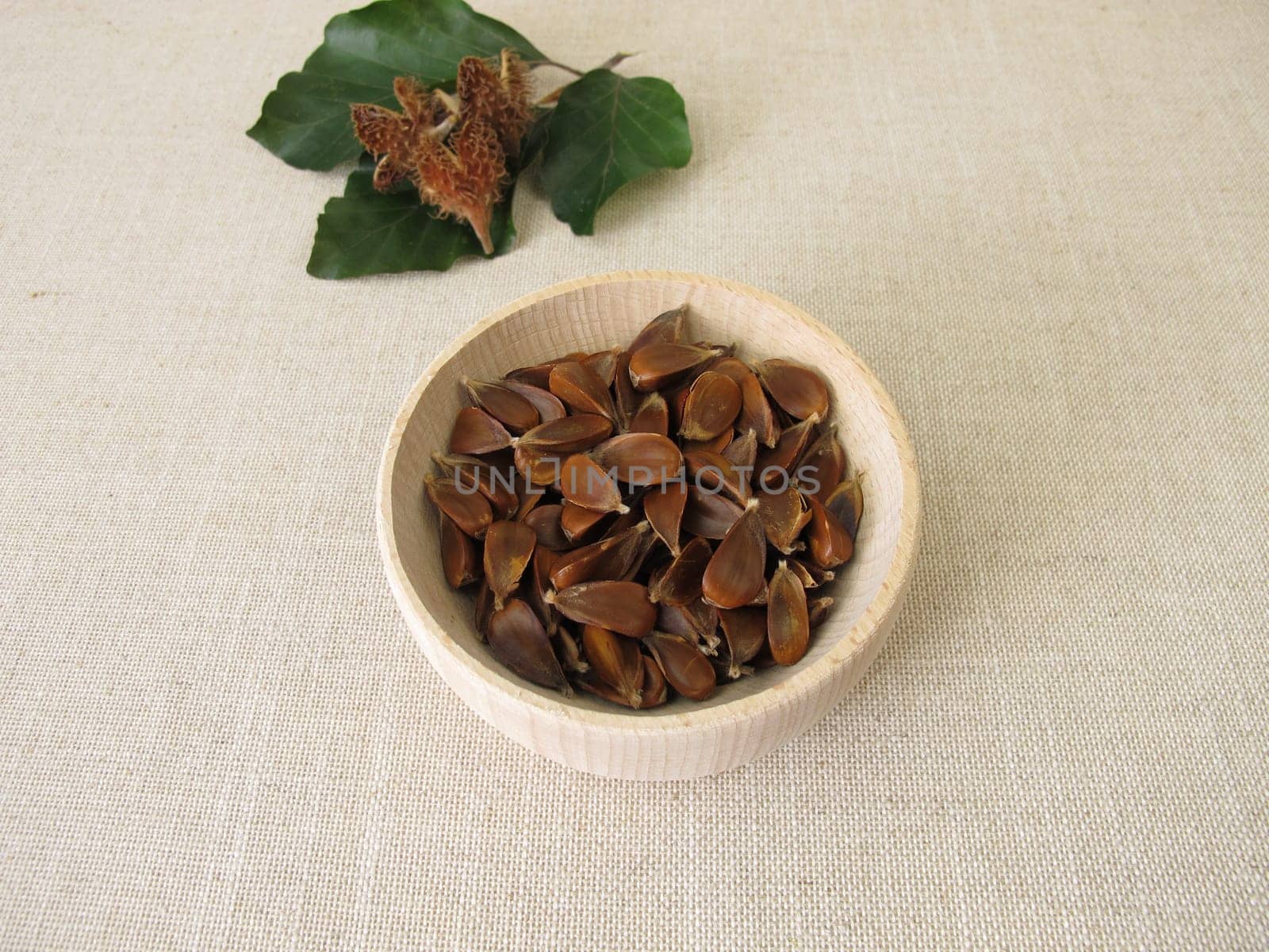 Beechnuts from the European beech in a wooden bowl