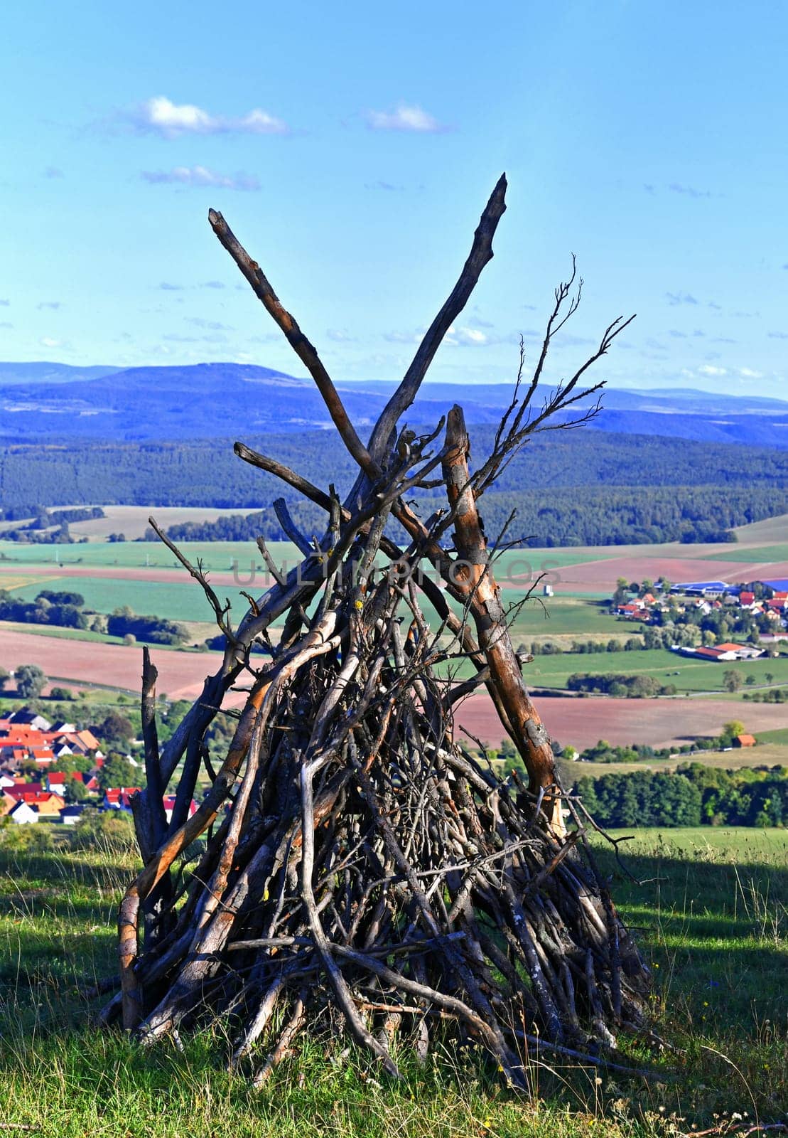 firewood