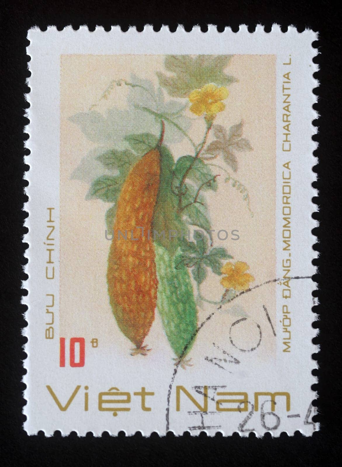 Stamp printed in Vietnam shows a Momordica charantia, series, circa 1989.