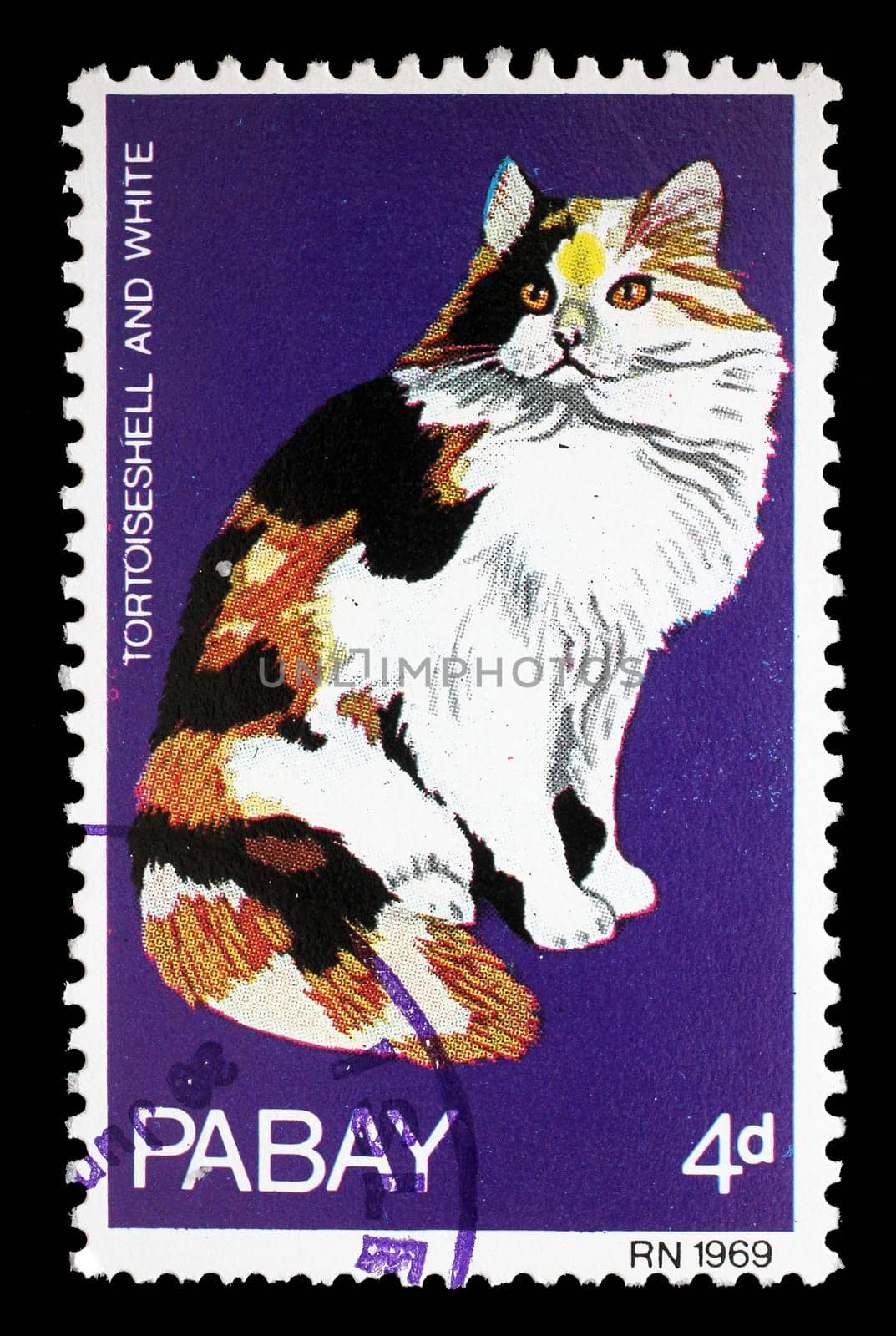 Stamp issued in Pabay shows Tortoiseshell And White Cat, circa 1969.
