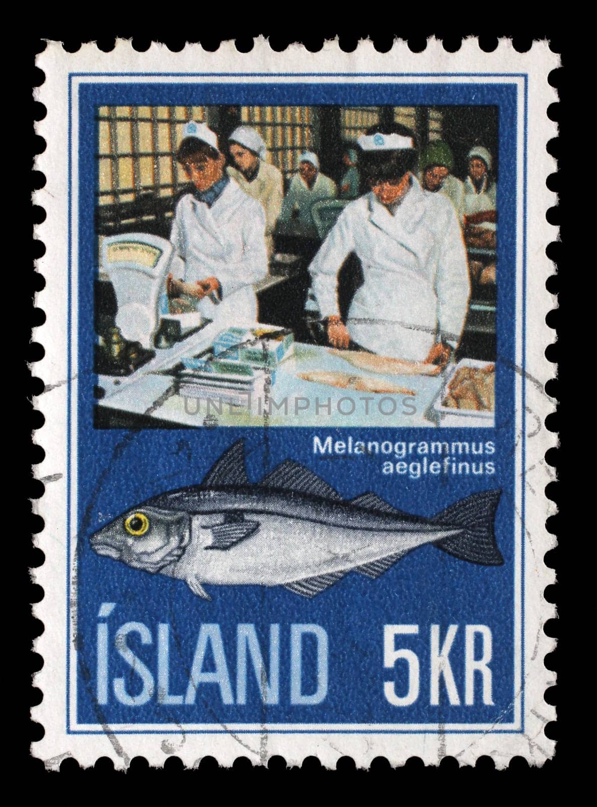 Stamp issued in Iceland shows Haddock (Melanogrammus aeglefinus), Icelandic Fishing Industry, circa 1971.