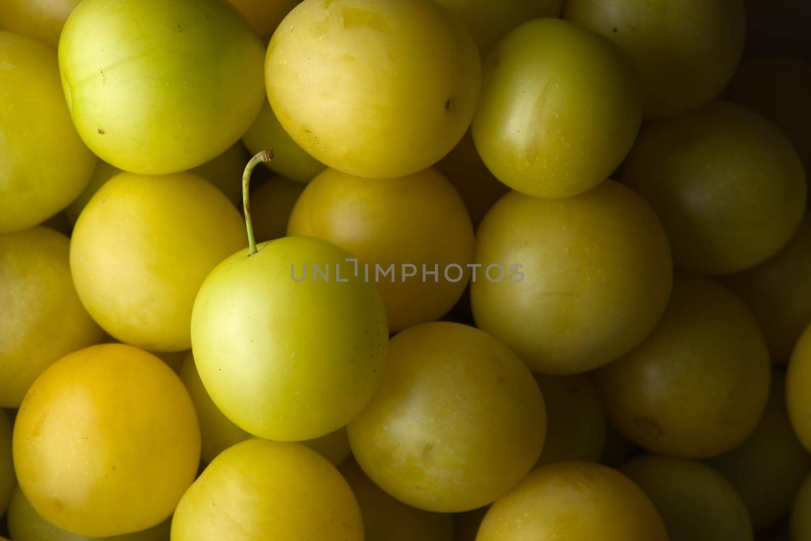 8 - Medium shot of many yellow mirabelle plums, ready to eat. One has a stalk left in. Vibrant color and directional lighting creates texture.