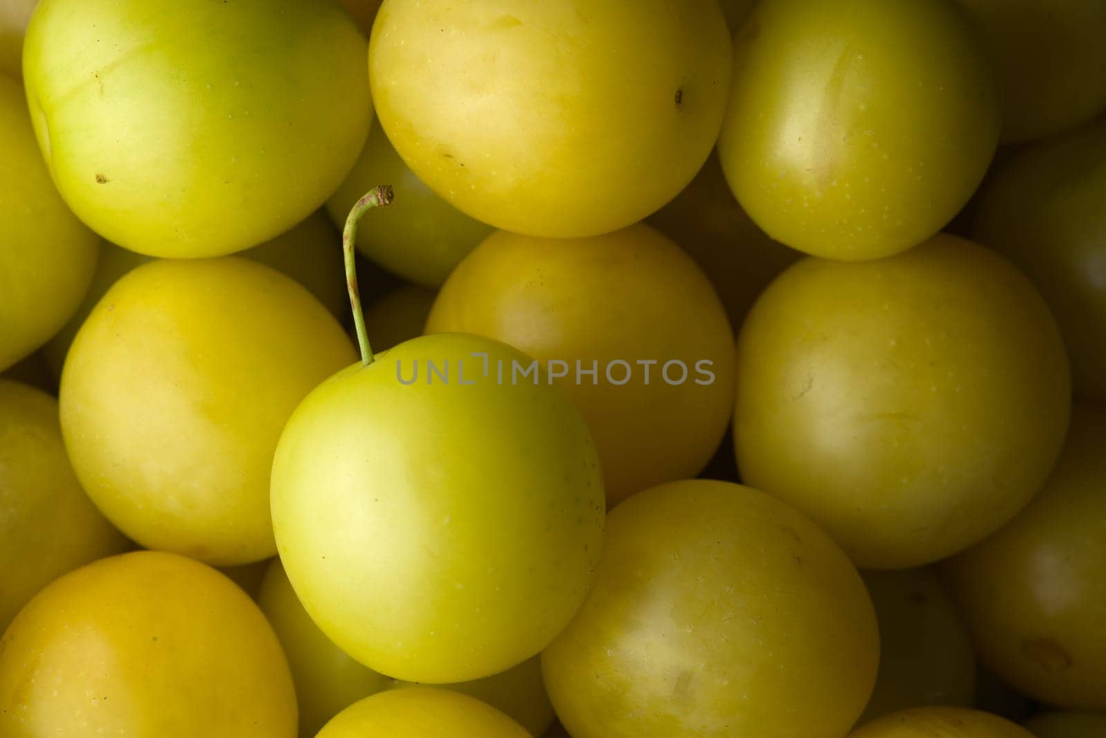 7 - Freshly picked mirabelle plums. Yellow in color and seasonally harvested for freshness. Organic condition and full frame image. Great background.