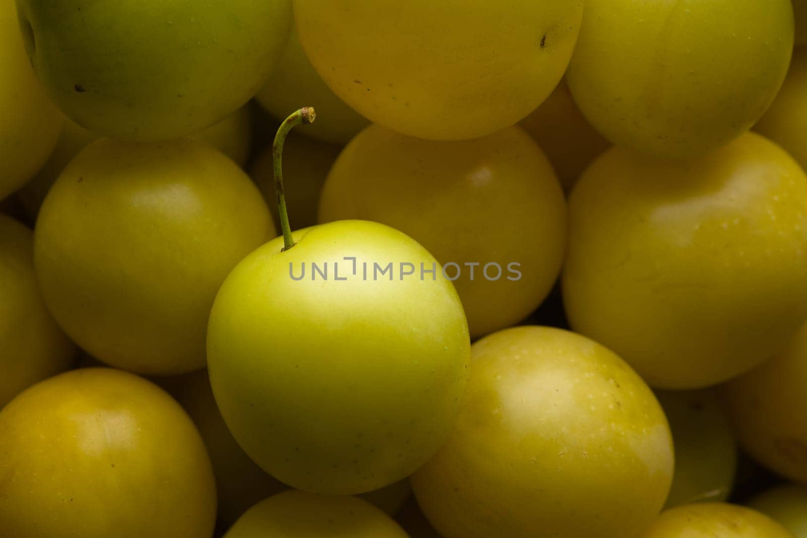 4 - Top lit large selection of yellow mirabelle plums. Home grown local produce, ripe and ready to eat. Stalk still present in the subject plum.