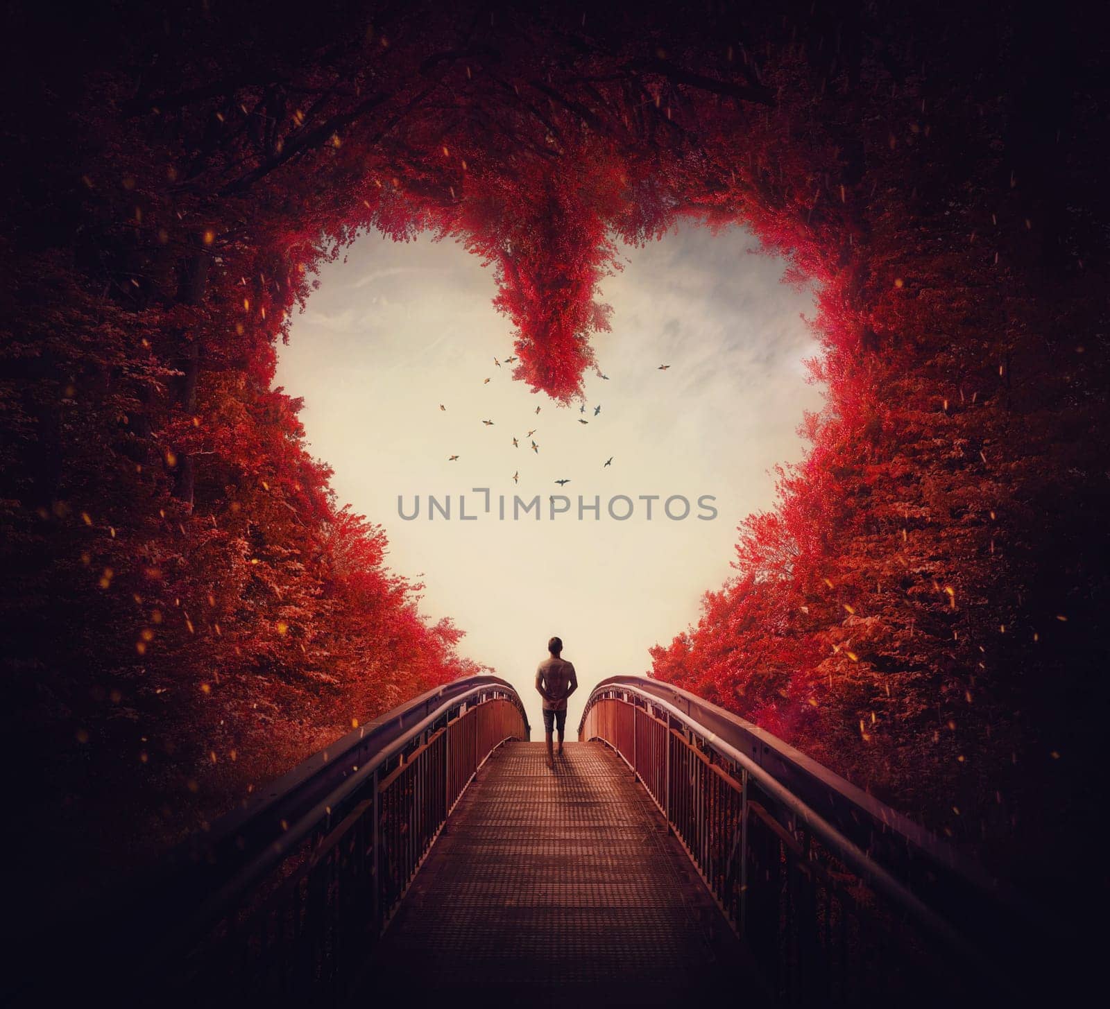 Follow your heart concept. A lone person lost in the autumn forest, found the way out of the woods, as walks a path through the heart shaped trees. Surreal and magic scene, red fall colors.