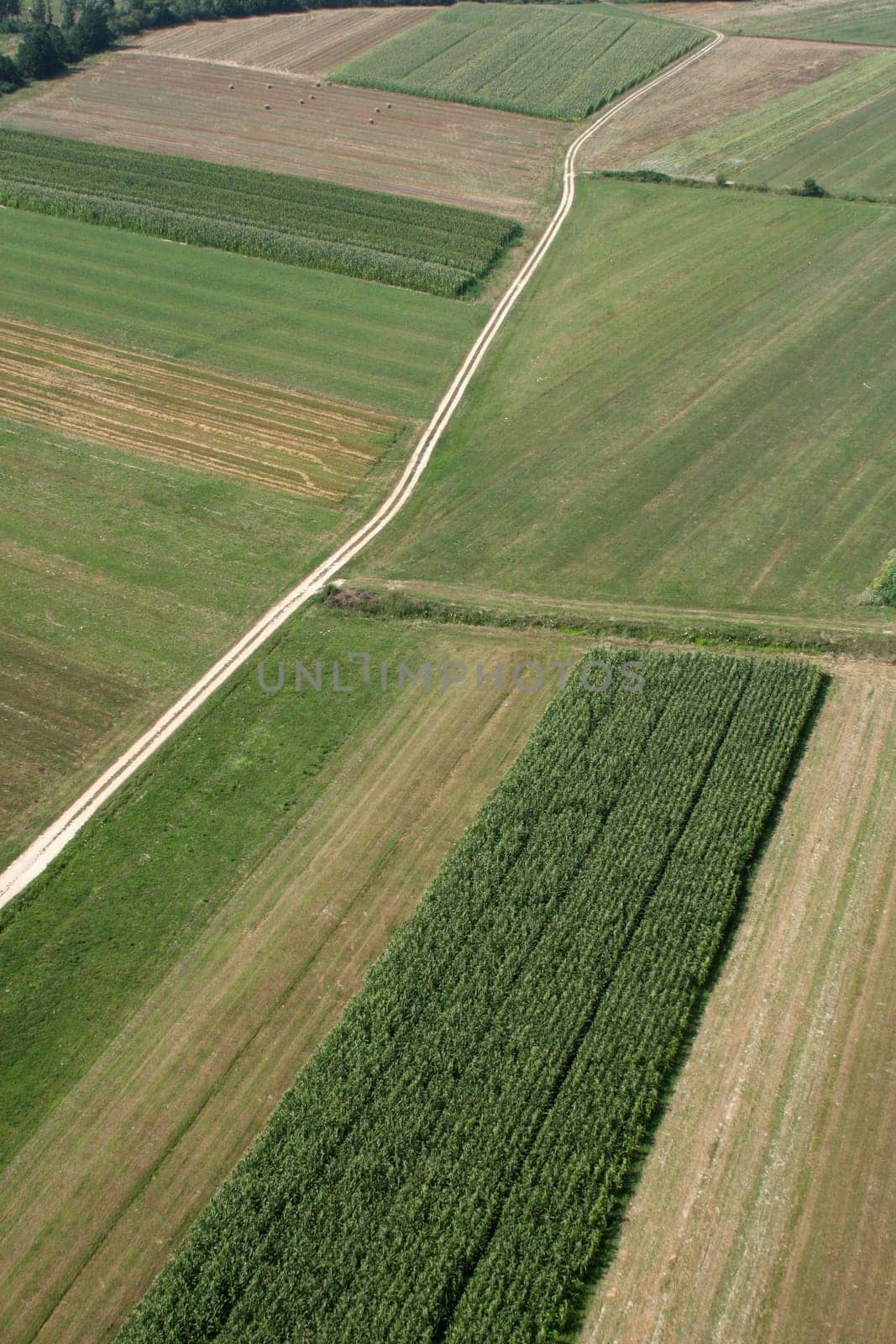 Meadows and fields. Aerial image
