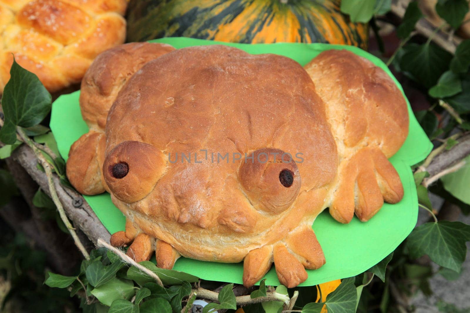Frog bread
