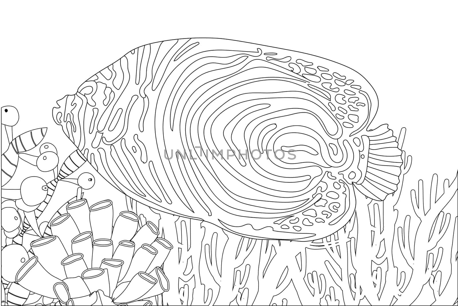 Coloring page fish. Sea life. Undersea world. illustration
