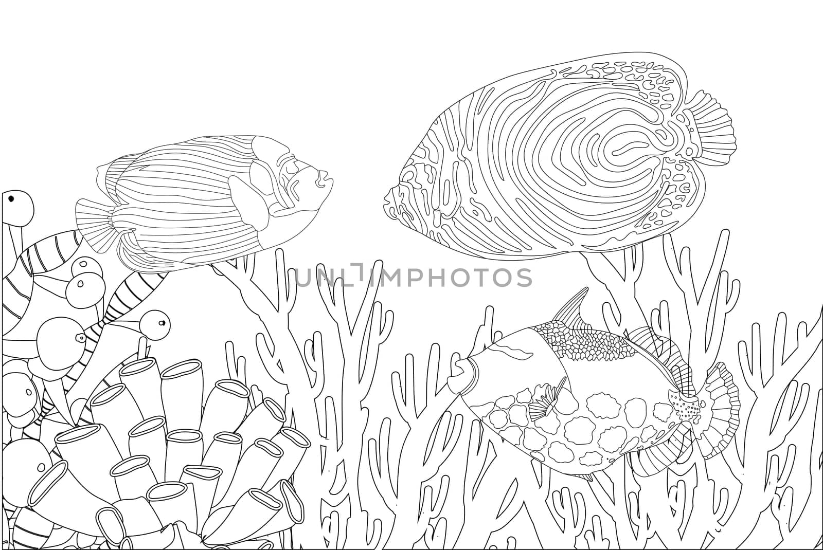 Fish exotic coloring. Antistress coloring page. Sea creatures. Ocean fish. illustration.