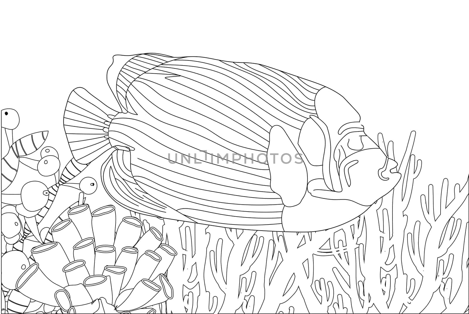 Fish exotic coloring. Antistress coloring page. Sea creatures. Ocean fish. illustration.