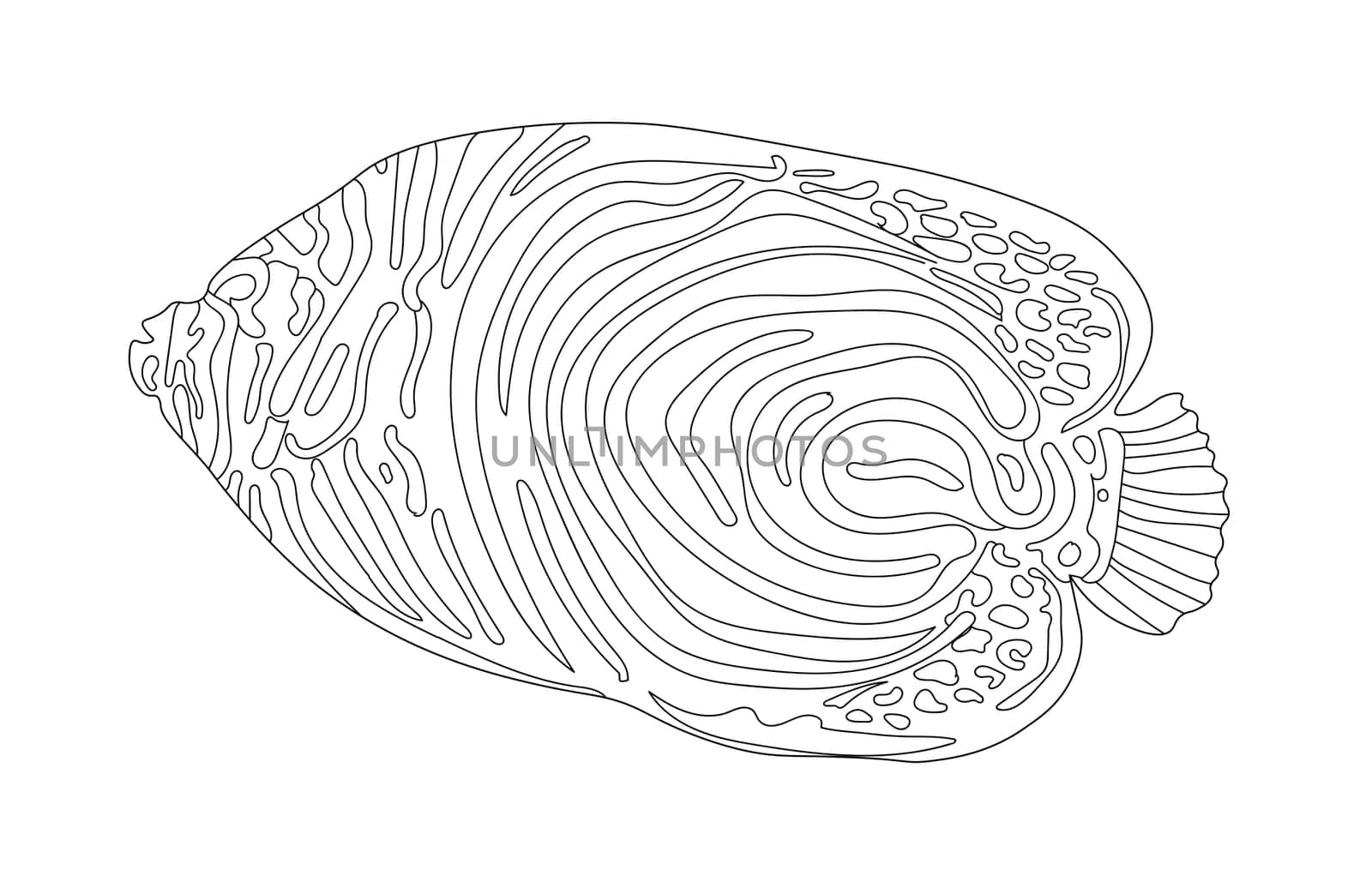 Fish exotic coloring. Antistress coloring page. Sea creatures. Ocean fish. illustration.