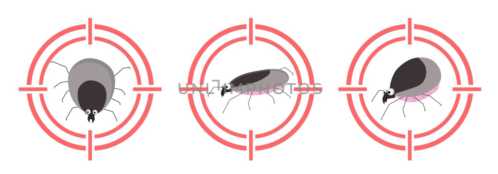 Tick parasite. Blood sucking insect. Insecticide. Peddlers of infection. Insect character.