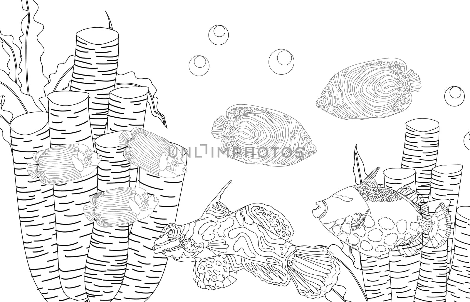 Coloring page fish. Sea life. Undersea world. illustration