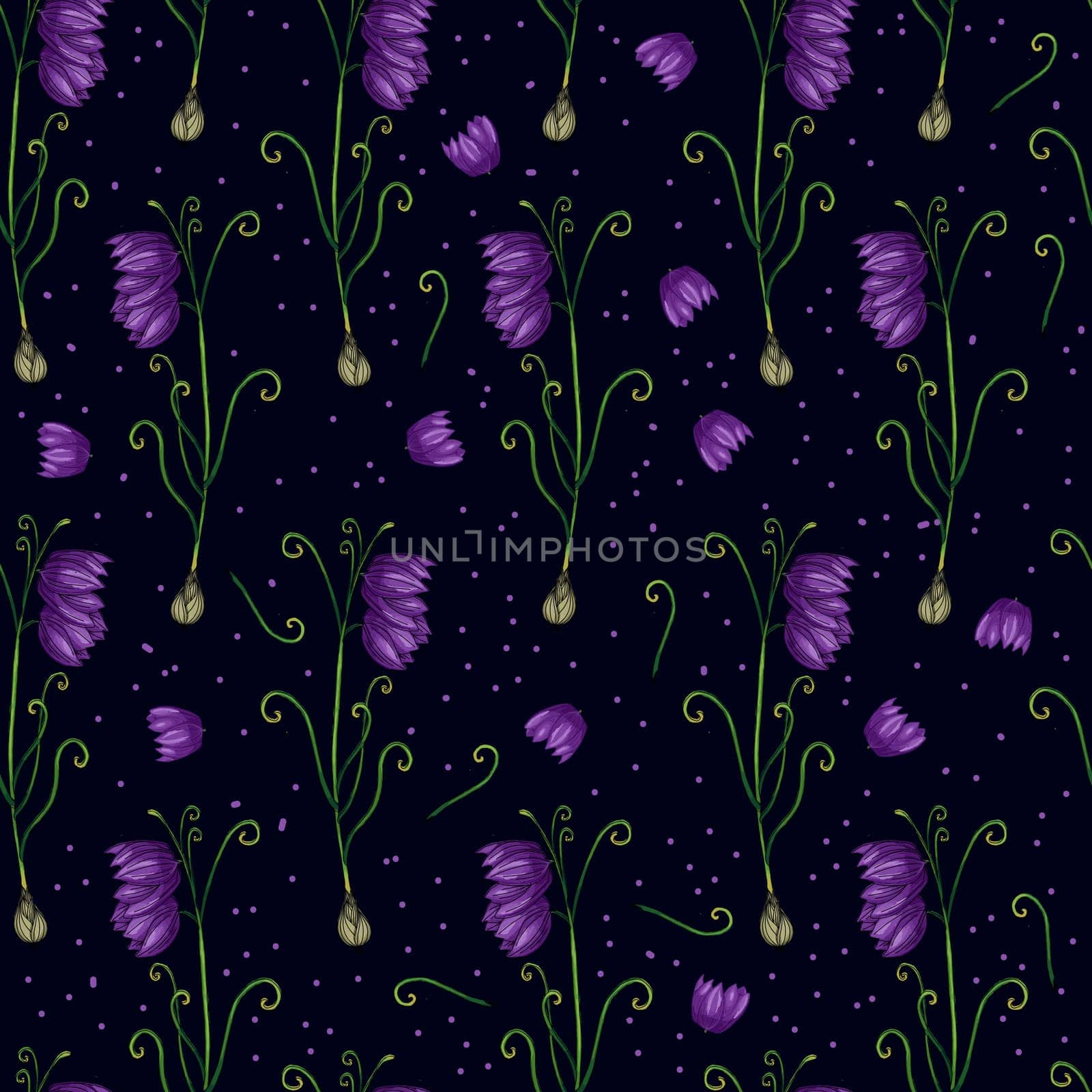 Fritillaria plant. botanical illustration. Fritillaria Medical plants