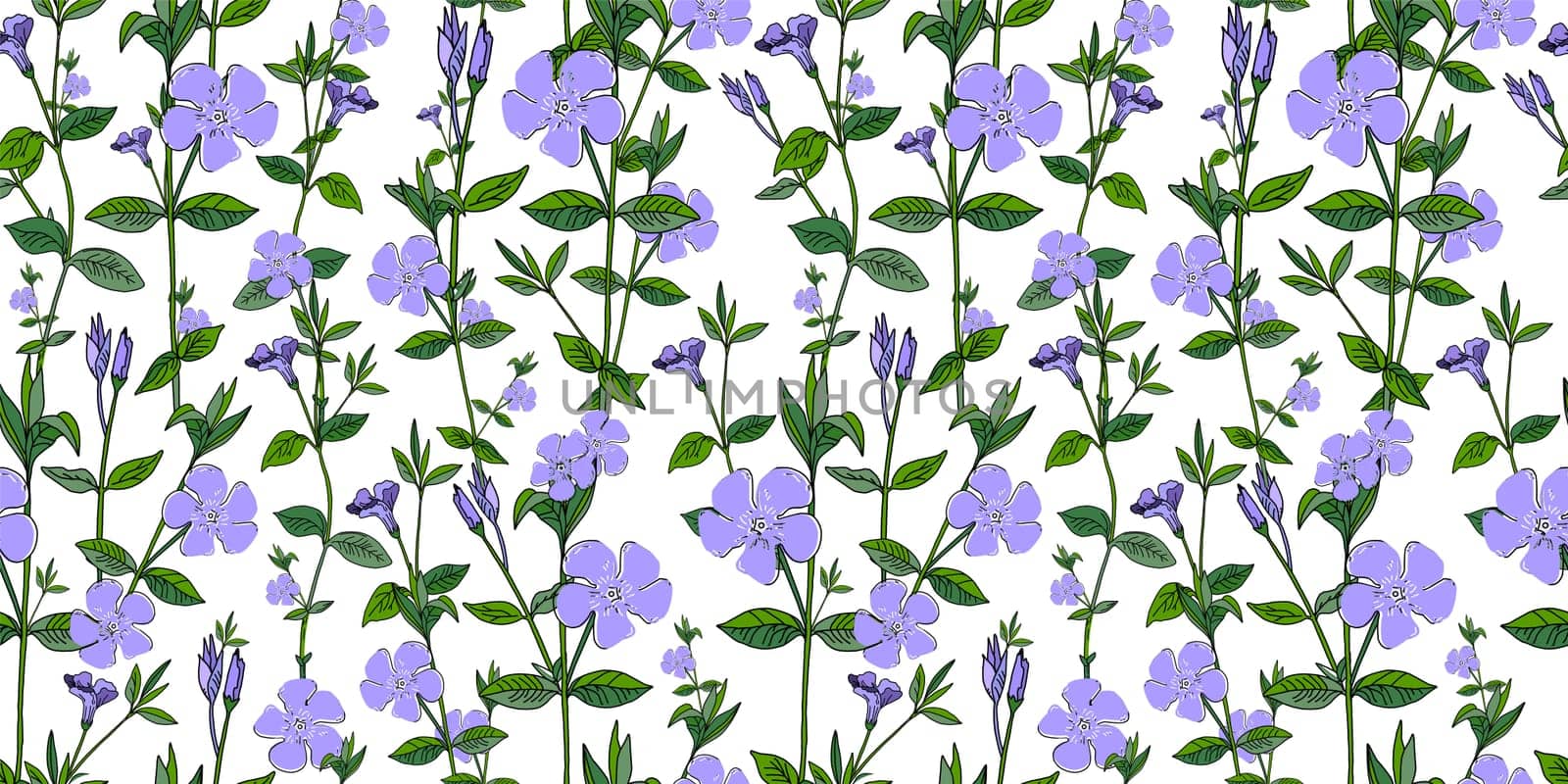 V nca m nor Fritillaria. Pattern for textile and fabric. Little blue flowers on a white background. Periwinkle, cornflower. Wildflowers. Shabby style chic, provence.