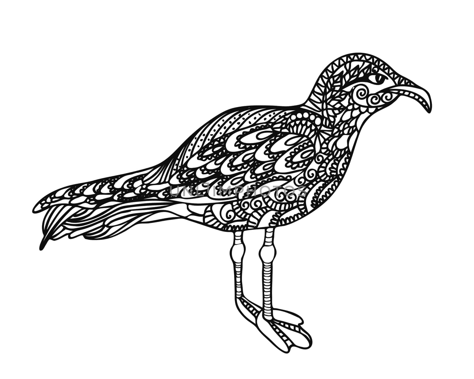 The bird is black and white. Seagull coloring page. Linear drawing animal. Antistress coloring page. illustration isolated on a white background.
