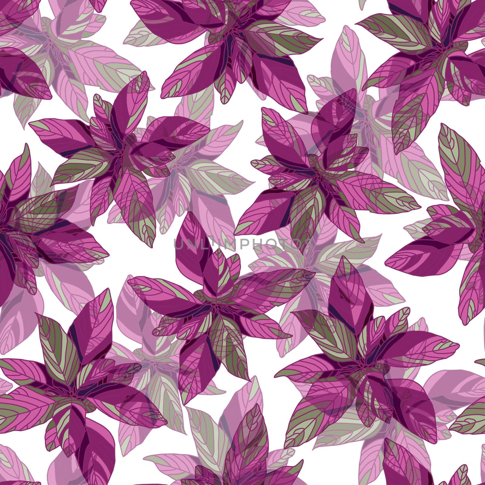 Amaranth pattern. Bright summer flower pattern. Purple. illustration. Botanical illustration.