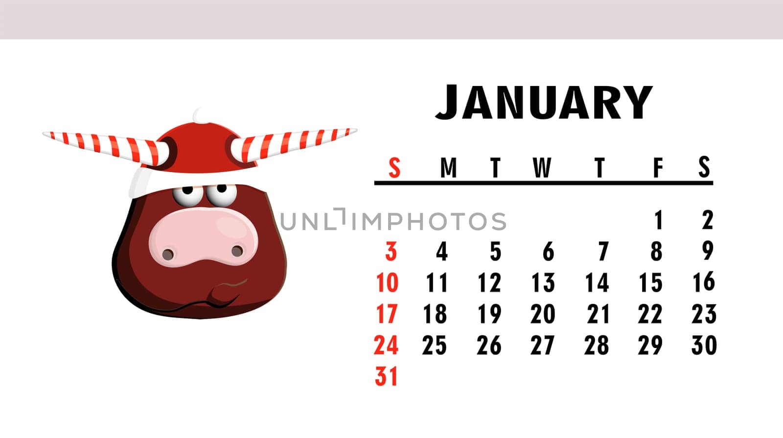 calendar 2021. Year of the bull. Animal buffalo, cow. Funny winter bull isolated on a white background. Symbol of 2021. illustration. January.