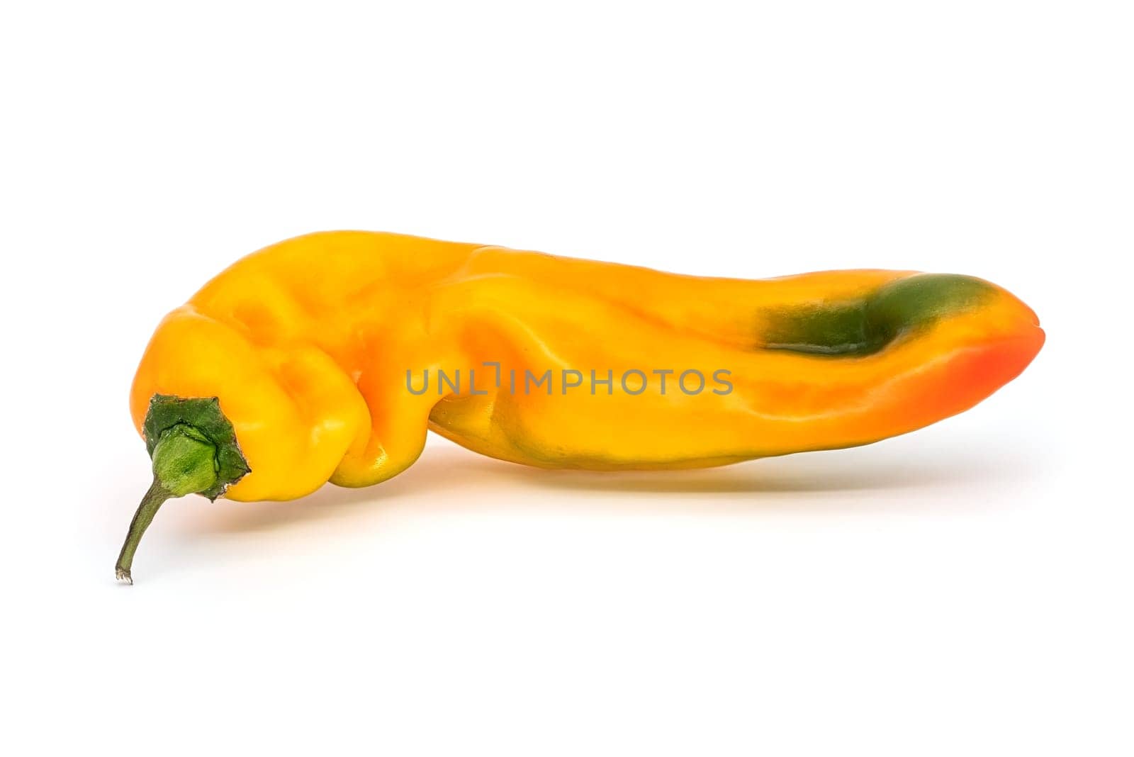 Chili On White Background, close up of bell pepper