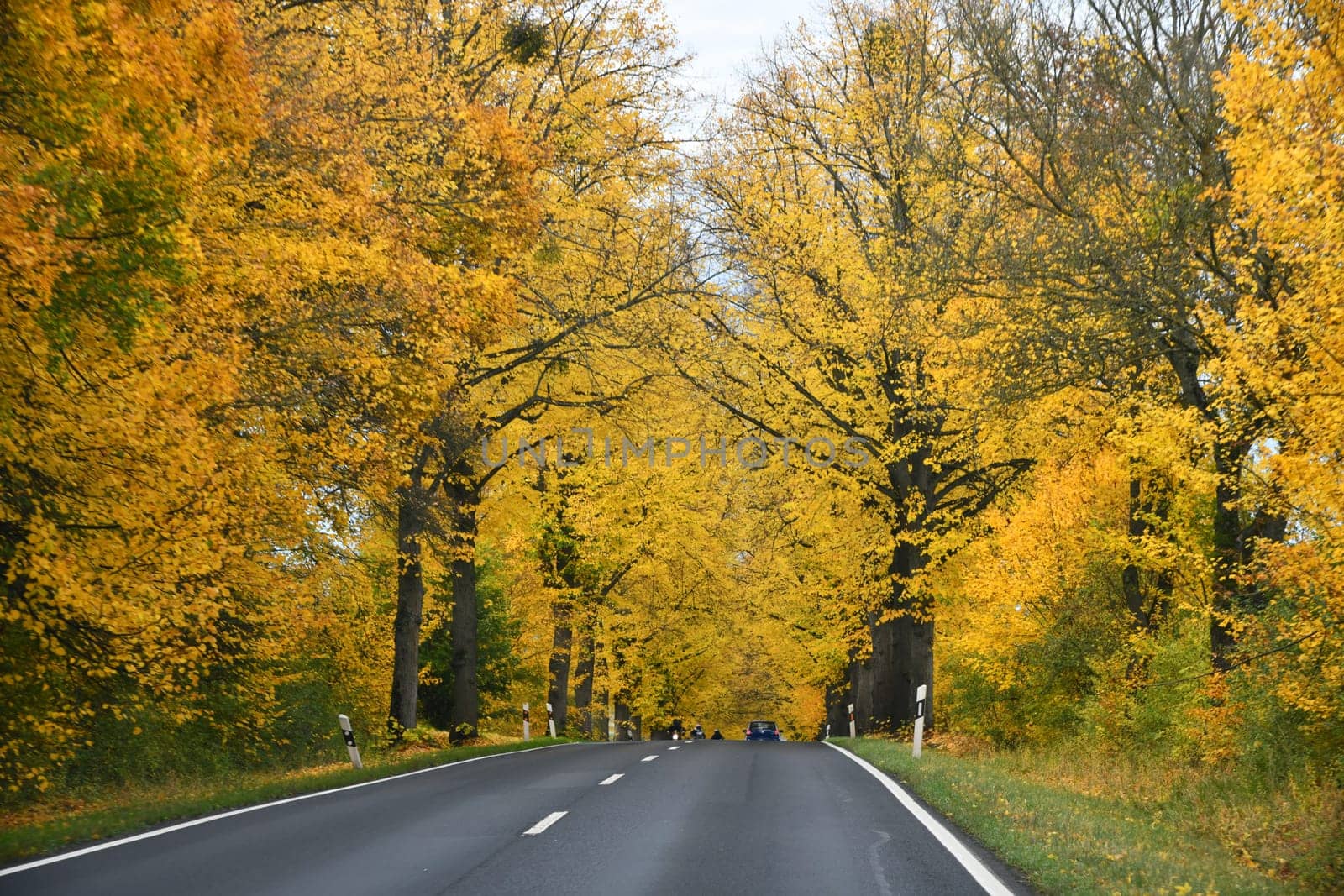 federal road