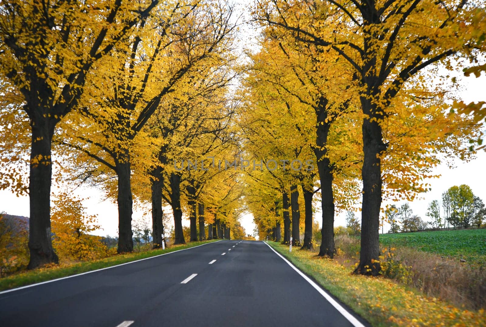 federal road