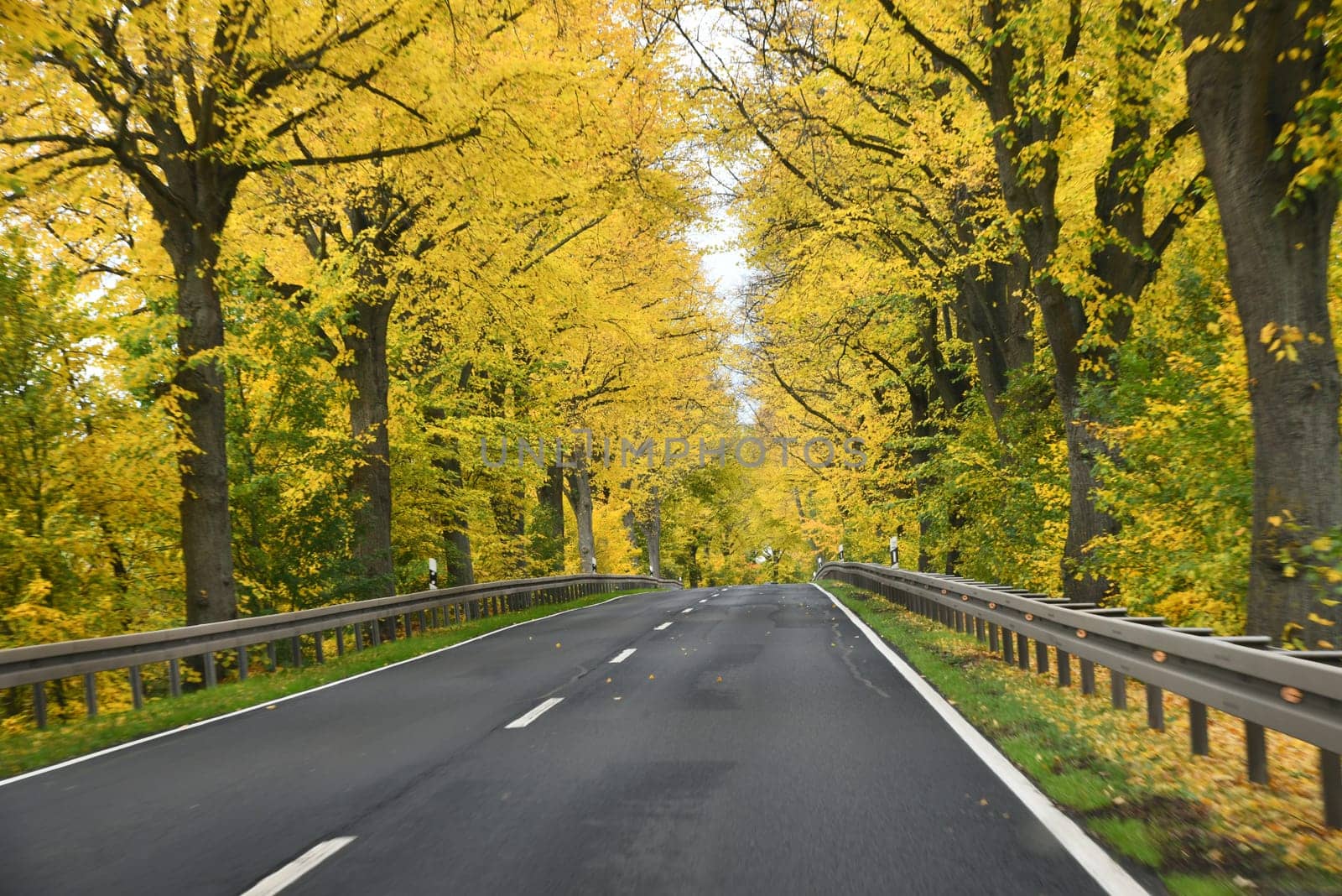 federal road